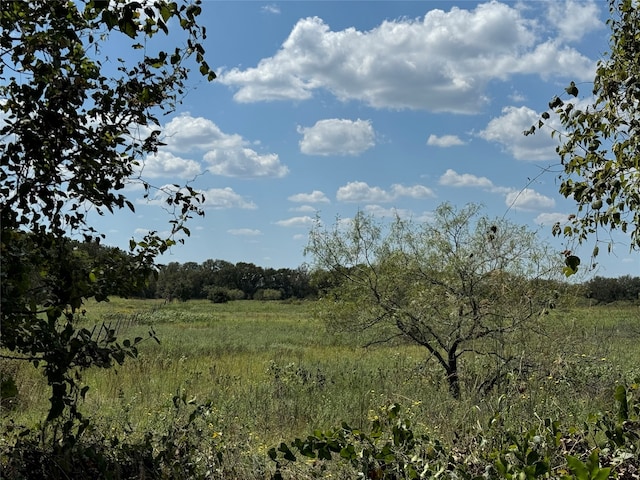 TBD3 County Road 1240, Cleburne TX, 76033 land for sale