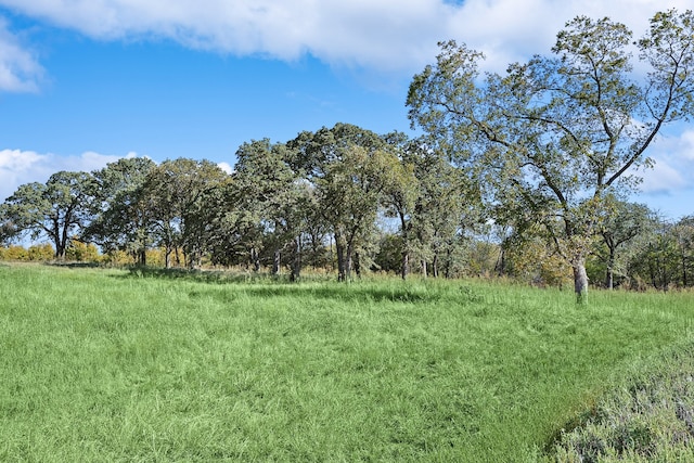 Listing photo 2 for TBD Rock Creek Rd, Gordonville TX 76245