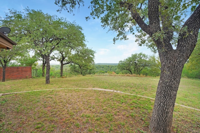 view of yard