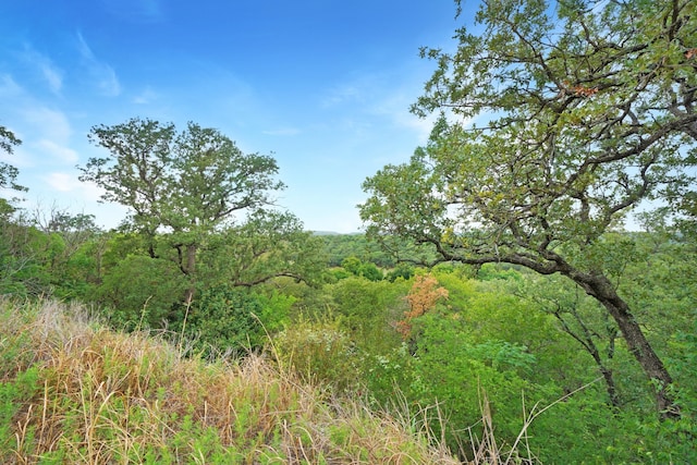 view of nature