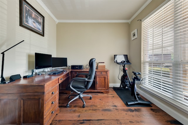 office space featuring ornamental molding and dark wood-type flooring