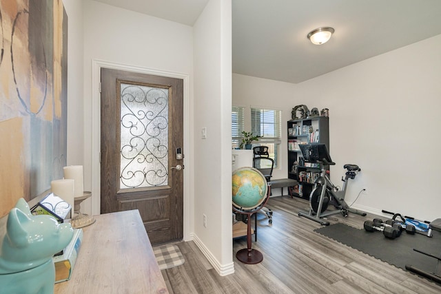 entryway featuring wood-type flooring