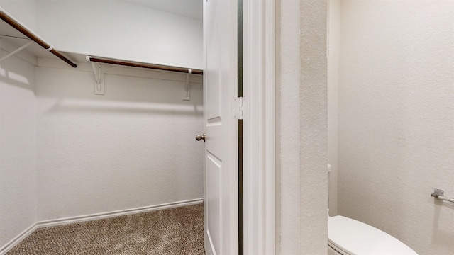 spacious closet featuring carpet floors