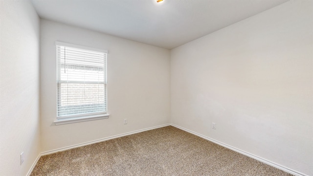 unfurnished room featuring a healthy amount of sunlight and carpet flooring