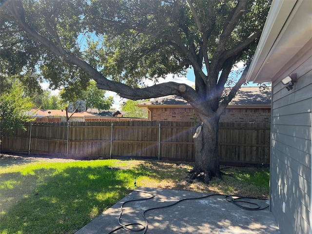 view of yard with a patio