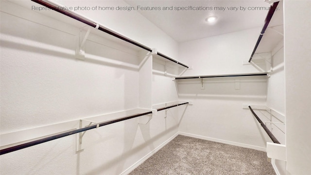 spacious closet featuring light colored carpet