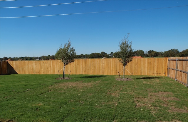 view of yard