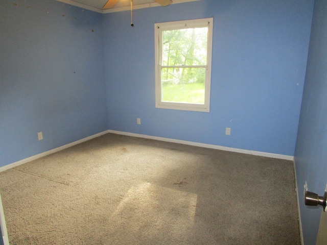 spare room with carpet floors