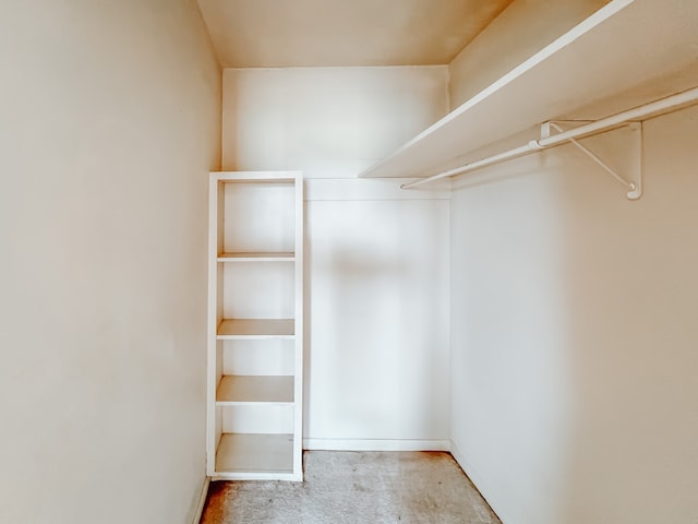 spacious closet featuring carpet flooring