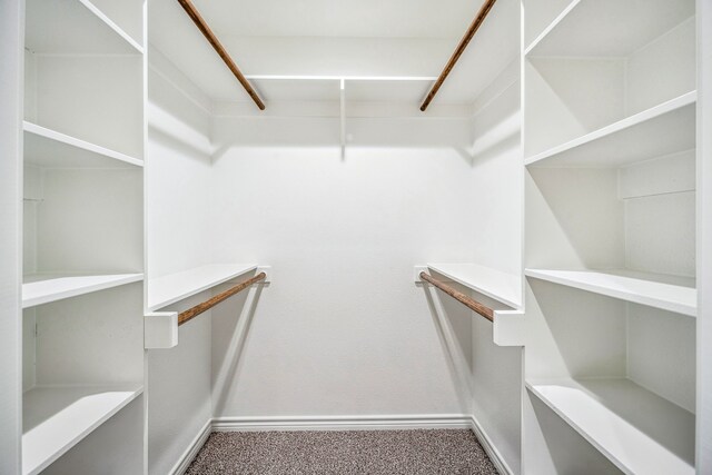 walk in closet with carpet floors