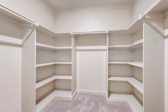 walk in closet featuring light carpet