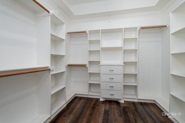 spacious closet with dark hardwood / wood-style flooring