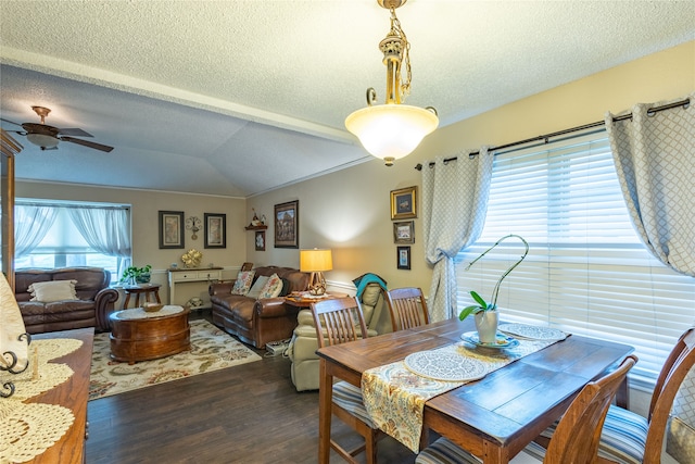 dining area with vaulted ceiling, dark hardwood / wood-style floors, ceiling fan, and a wealth of natural light