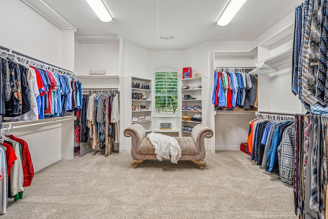 spacious closet featuring carpet flooring