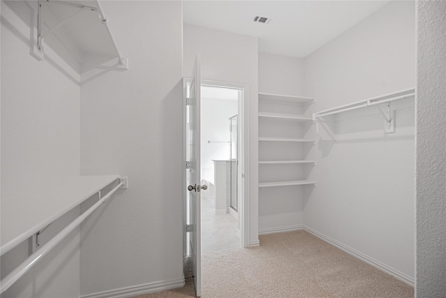 spacious closet with light colored carpet