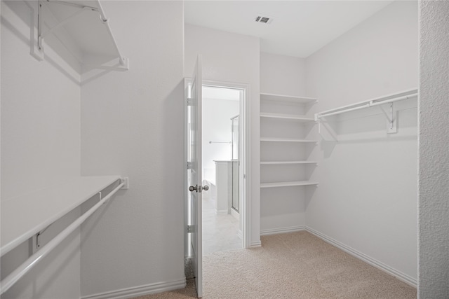 walk in closet with light colored carpet