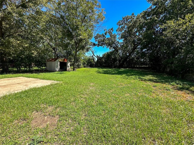 view of yard featuring a storage unit