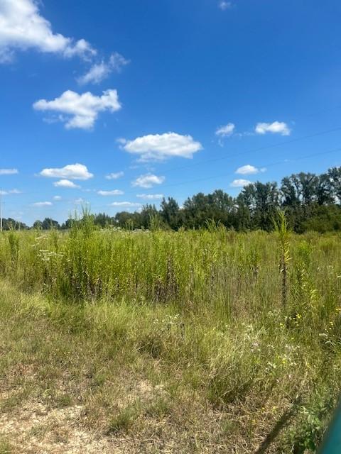 0000 Vz County Rd 4406, Ben Wheeler TX, 75754 land for sale