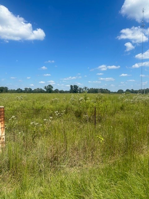 Listing photo 2 for 0000 Vz County Rd 4406, Ben Wheeler TX 75754