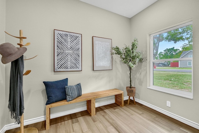 living area with light hardwood / wood-style floors