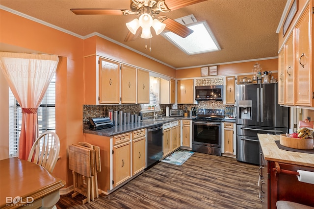 kitchen with ceiling fan, sink, ornamental molding, appliances with stainless steel finishes, and dark hardwood / wood-style floors