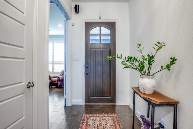 entryway with plenty of natural light and dark wood-type flooring