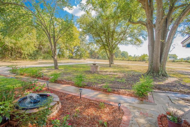 view of yard with a patio area