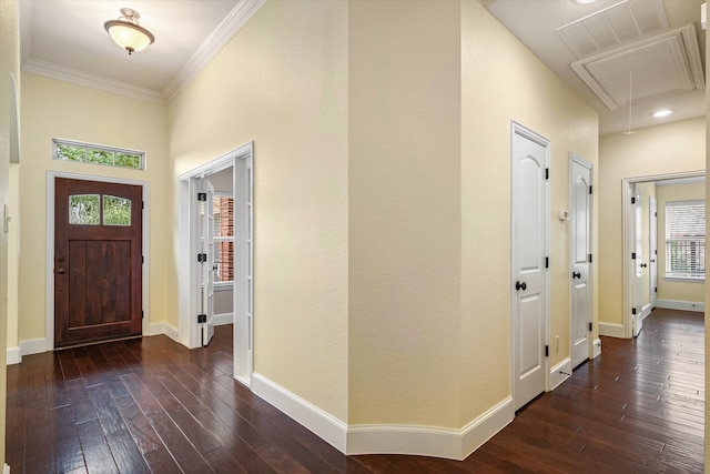 foyer featuring dark hardwood / wood-style floors and ornamental molding