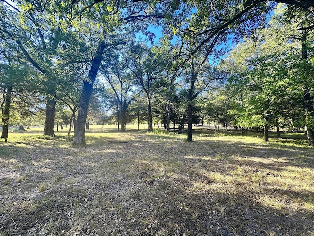 LOT65 Sombrilla Ln, Kerens, TX 75144