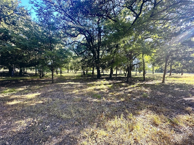 LOT65 Sombrilla Ln, Kerens, TX 75144