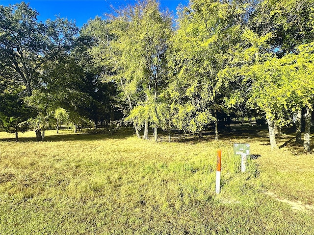 LOT65 Sombrilla Ln, Kerens, TX 75144