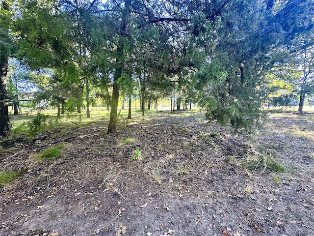 LOT65 Sombrilla Ln, Kerens, TX 75144