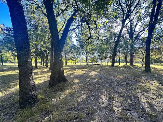 LOT65 Sombrilla Ln, Kerens, TX 75144