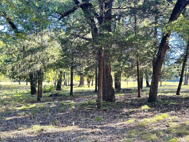 LOT65 Sombrilla Ln, Kerens, TX 75144