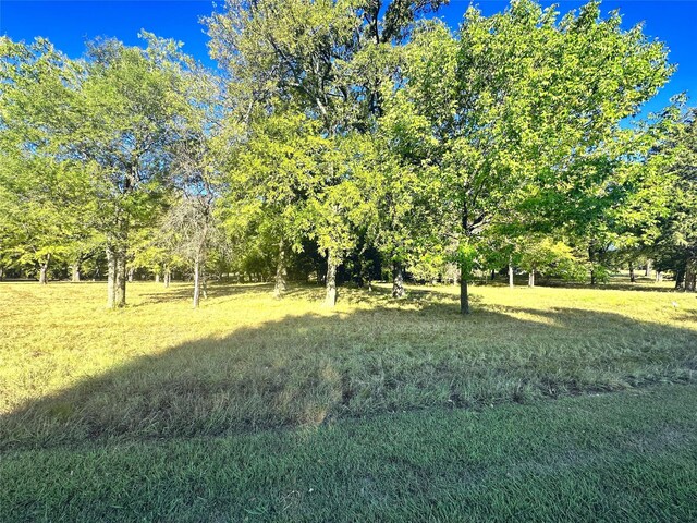 LOT65 Sombrilla Ln, Kerens, TX 75144