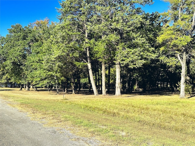 Listing photo 2 for LOT65 Sombrilla Ln, Kerens TX 75144