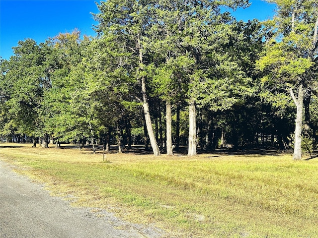 LOT65 Sombrilla Ln, Kerens, TX 75144
