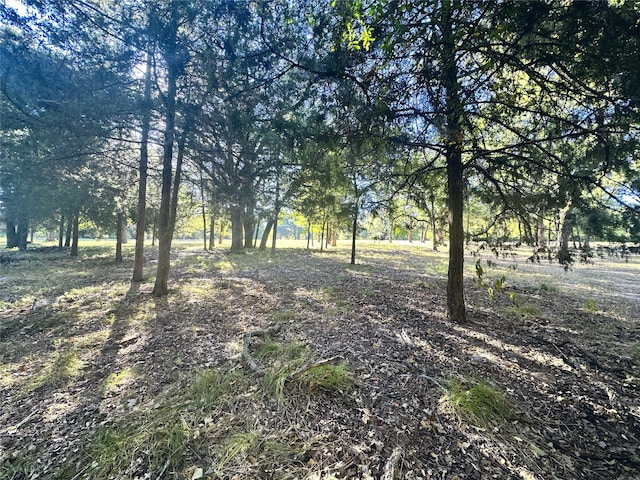 LOT65 Sombrilla Ln, Kerens, TX 75144