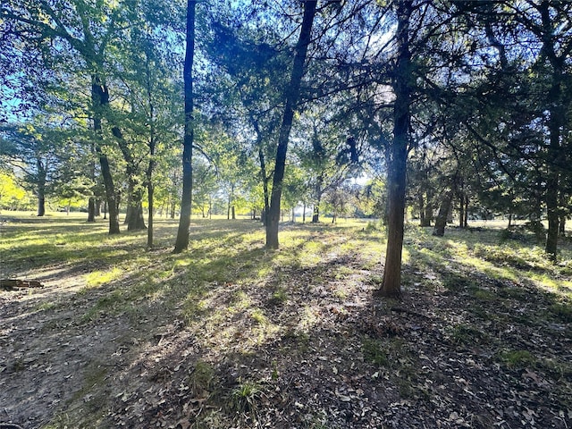 LOT65 Sombrilla Ln, Kerens, TX 75144