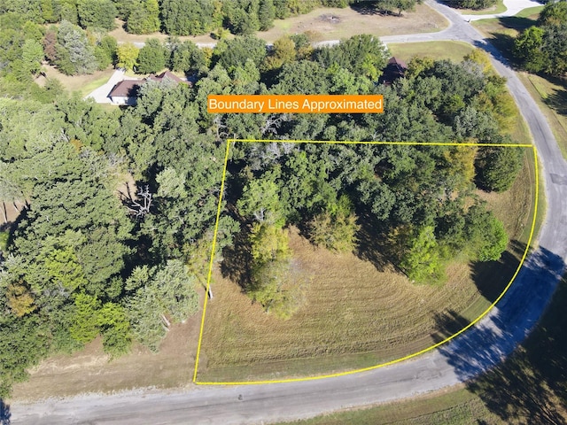 LOT65 Sombrilla Ln, Kerens, TX 75144
