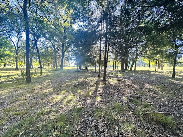 LOT65 Sombrilla Ln, Kerens, TX 75144