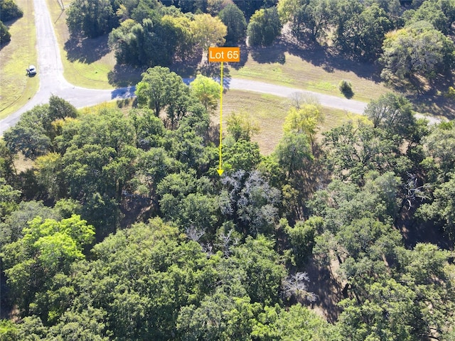 LOT65 Sombrilla Ln, Kerens, TX 75144