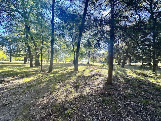 LOT65 Sombrilla Ln, Kerens, TX 75144