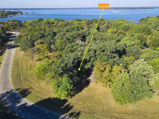 LOT65 Sombrilla Ln, Kerens, TX 75144