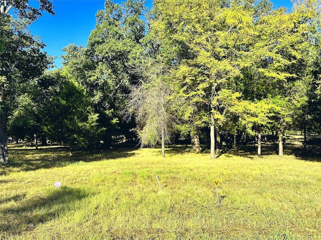 LOT65 Sombrilla Ln, Kerens, TX 75144