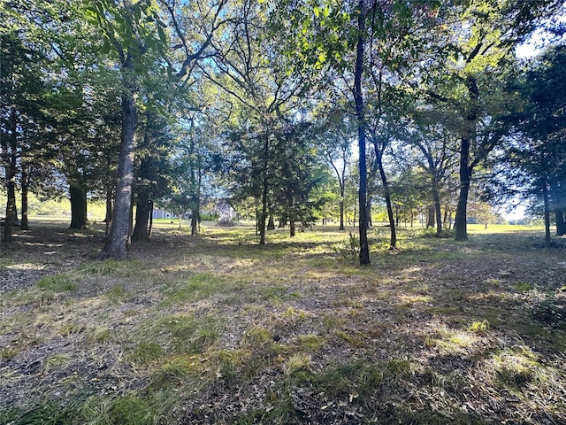 LOT65 Sombrilla Ln, Kerens, TX 75144