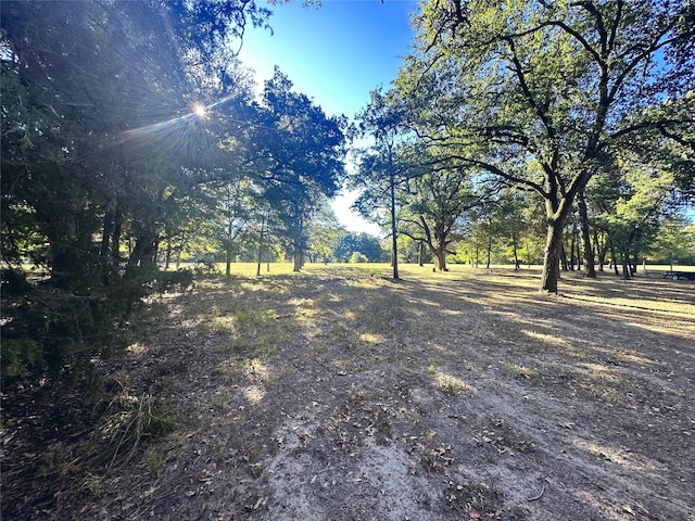 LOT65 Sombrilla Ln, Kerens, TX 75144