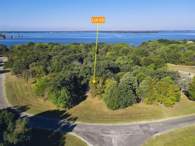 LOT65 Sombrilla Ln, Kerens, TX 75144