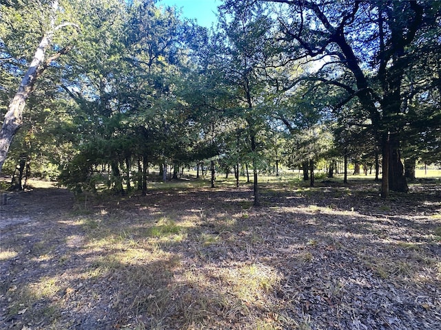 LOT65 Sombrilla Ln, Kerens, TX 75144