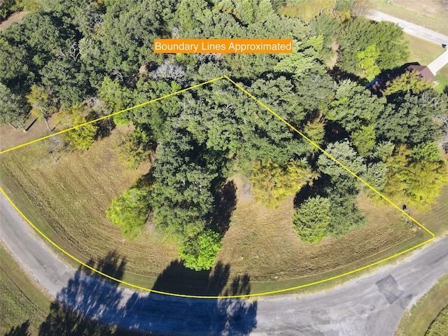 LOT65 Sombrilla Ln, Kerens, TX 75144